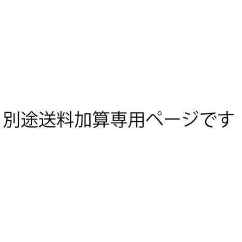 別途送料加算専用ページ