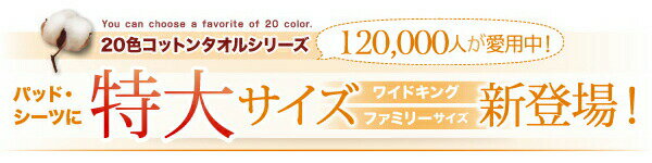 マラソン期間中はポイント2倍！最大2500円クーポン配布！ コットン オールシーズン 綿 綿100％ タオル地 タオル生地 タオル さらさら サラサラ 敷きパッド シングル 同色2枚セット 2