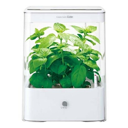 水耕栽培 led キット 水耕栽培器 ユーイング UH-CB01G1(W) ホワイト GreenFarm CUBE(グリーンファーム キューブ) 家庭菜園 自然 彩り 野菜 植物 栽培 収穫 コンパクト おしゃれ インテリア タイマー