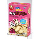 マルカン うさぎのぱくっとクランベリー MR-553 小動物フード エサ