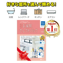 ぴかぴかキッチン ハウスクリーニング 家事代行 サービス カジタク らくらくお掃除セレクトパック 家事玄人 エアコン 浴室 キッチン レンジフード 大掃除 年末 プロの技 掃除 クリーニング クリーニングサービス カビ対策 プレゼント