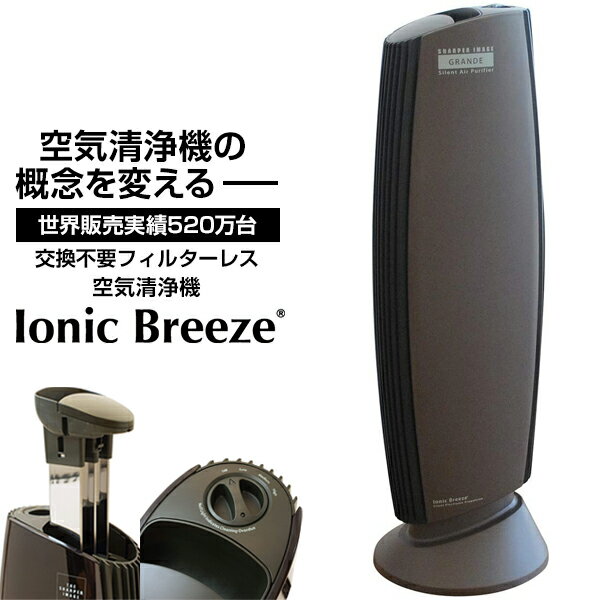 空気清浄機 イオニックブリーズグランデ Ionic BreezeGRANDE カフェモカ 40畳 人気 おしゃれ 可愛い 消臭 ウイルス対策 ウイルス除去 花粉 PM2.5 タバコ フィルター交換不要 コンパクト リビング レビューCP500