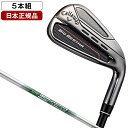 キャロウェイ BIG BERTHA(ビッグバーサ) アイアンセット 5本組(#6-9、PW) 2023年モデル N.S.PRO 950GH neo(S) スチールシャフト 【日本..