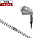 タイトリスト T100 アイアンセット 6本組 ( 5-Pw) 2023年モデル True Temper Dynamic Gold スチールシャフト S200 【日本正規品】