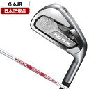 ピン i230 アイアン PING i230 iron 6本セット AMT TOUR WHITE ツアーホワイト スチール PING GOLF I230 IRON 日本仕様 左用 右用・レフト ライト・レフティー ツアー Dynamic Gold DYNAMICGOLD アイ230アイアン I230アイアン I210後継モデル Iシリーズ