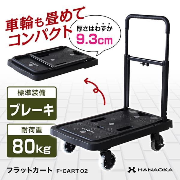 ֡6/5!ȥ꡼&Ǻ100%PХå ֲ HANAOKA   ֥졼 FLAT CART 02 եåȥ 02 F-CART 02פ򸫤