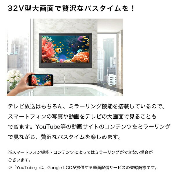 お風呂テレビ 浴室テレビ 32V型 ツインバード TWINBIRD 32型 32インチ VB-BB321G シャンパンゴールド 浴室取り付け用 防水テレビ お風呂場テレビ 浴室 テレビ 設置工事必要 工事必要 ミラーリング iPhone Youtube NETFLIX エクプラ特選