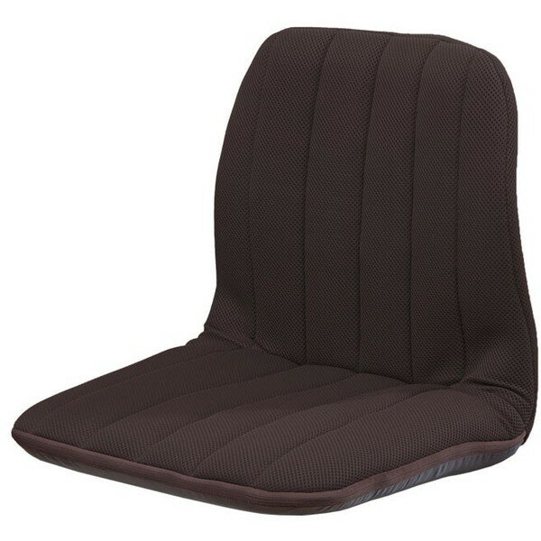 ファミリー・ライフ 背筋サポートリクライニングチェア 同色2個組 ダークブラウン(0437910) メーカー直送