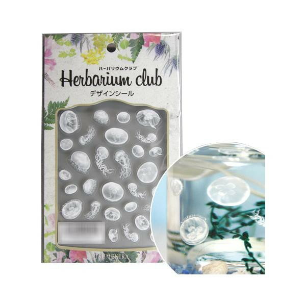 イングカワモト ハーバリウムクラブ ハーバリウムシール 海月 (両面印刷) HR-KRG-101