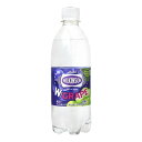 アサヒ飲料 ウィルキンソン ダブルグレープ ペット 500ml×24 メーカー直送|詳細画像