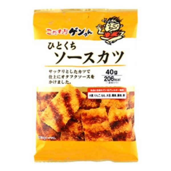 カネタ・ツーワン カネタ こだわりゲンさん ひとくちソースカツ 40g×10 メーカー直送 ギフト プレゼント
