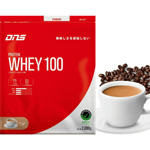 DNSPW1002000CFEプロ...