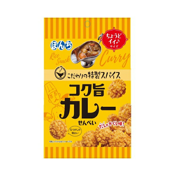 【11/27まで！お歳暮早割りクーポン発行中】 ぼんち コク旨カレーせんべい 55g×10 メーカー直送 ギフト プレゼント お歳暮 冬ギフト