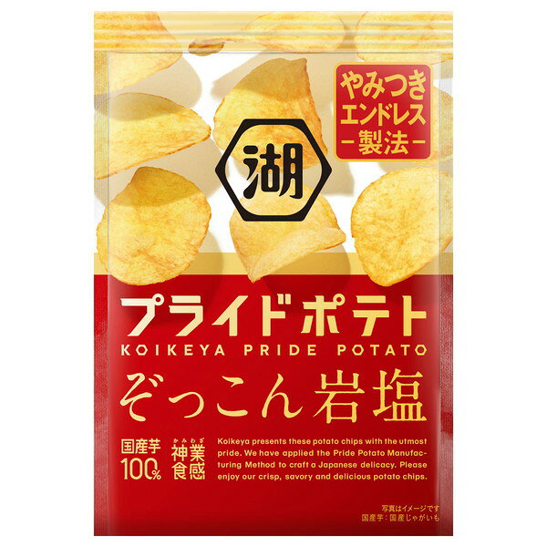 Potato Chips - 湖池屋 プライドポテト ぞっこん岩塩 55gx12 メーカー直送 ギフト プレゼント