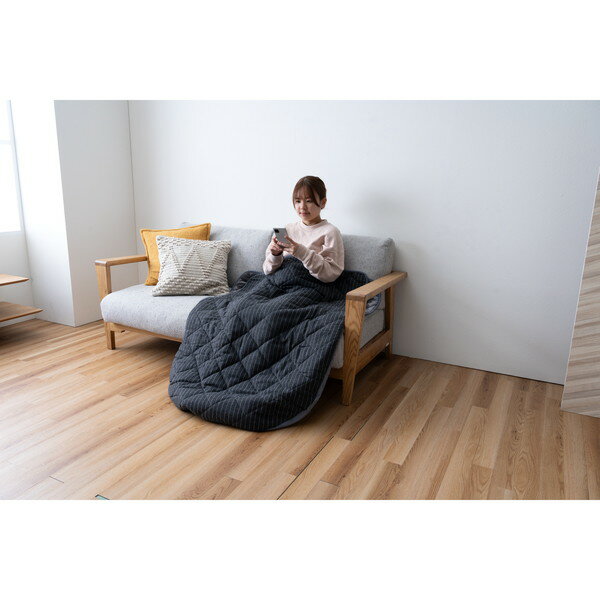 イケヒコ・コーポレーション 1172861065199 雑貨 ポケットこたつ シャーブ ブラウン 約90×120cm メーカー直送