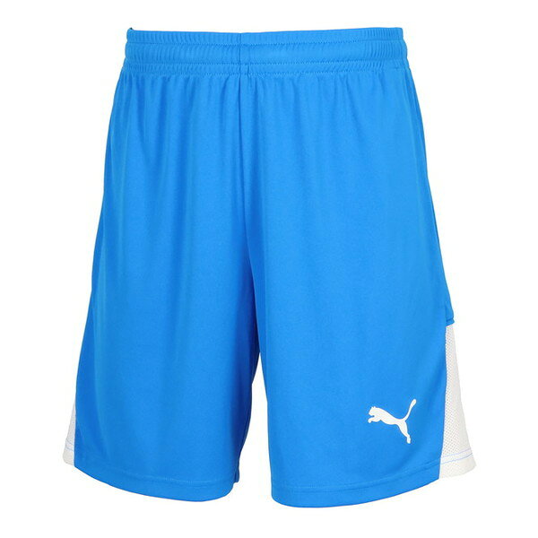 PUMA プーマ サッカーウエア 707346 02 TEAMLIGA ショーツ Lサイズ ブルー