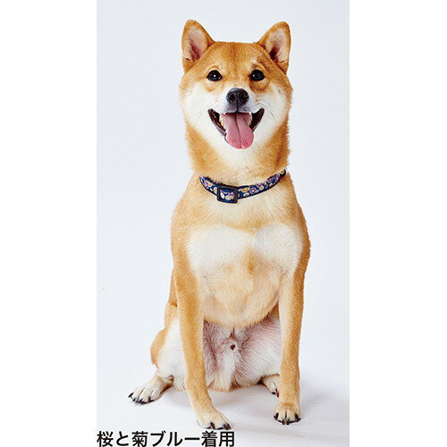 ペティオ 犬雅 唐草カラー SSサイズ レッドの紹介画像2