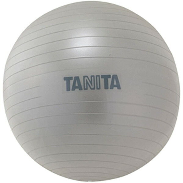 タニタ TANITA バランスボール エクササイズボール TS-962-SV シルバー ジムボール