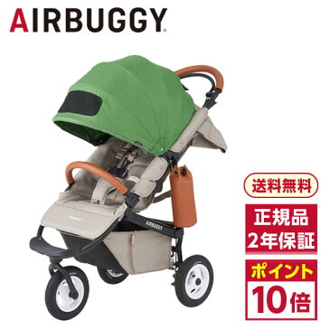 エアバギー ココ ブレーキ EX フロムバース ミント AIRBUGGY COCO BRAKE EX FROMBIRTH [ ベビーカー / 新生児から ] 【正規品】【保証期間：2年】【レインカバー付き】 グリーン 緑 新フレーム オーバルフレーム