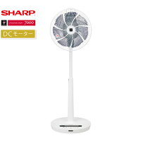 SHARP シャープ リビング扇風機 (DCモーター搭載/リモコン付き) ホワイト系 首振り 静音 節電 プラズマクラスター 部屋干し 生乾き臭 消臭 タイマー 32cm 7枚羽根 PJ-L3DS PJL3DS