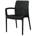 Rattan World C1605PDG ラタン風ガーデンアームチェア ブラック メーカー直送