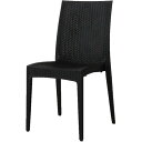 Rattan World C1601PDG ラタン風ガーデンチェア ブラック メーカー直送 新生活