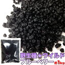 野生種 ワイルドブルーベリー 大容量 1kg 業務用 無添加 無着色 無香料 無漂白 おやつ 小腹 健康 アメリカ（北米）産 メーカー直送