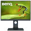 12/15!ȥ꡼ǥݥȺ100ԸBENQ SW240 졼 [24.1磻 IPSѥͥ վǥץ쥤] 