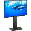 テレビ台 テレビスタンド 壁掛け風 ウォール イコールズ EQUALS WLTVA5119 ロータイプ ブラック V2 32~60型 おしゃれ 一人暮らし 新生活