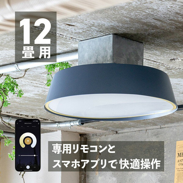 gram8 TC-1035-SY LED シーリングライト マフィン スモークイエロー メーカー直送