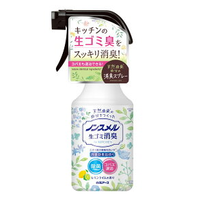 【1/1限定 エントリー＆抽選で最大100P還元】白元アース ノンスメル 生ゴミ消臭スプレー 300mL