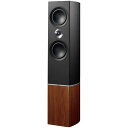 tannoy Platinum F6 R ؖڒ [tA^Xs[J[ (1{)]