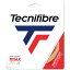 Tecnifibre (ƥ˥եС) żƥ˥ å TRIAX ʥ 1.33mm TFSG301 NA