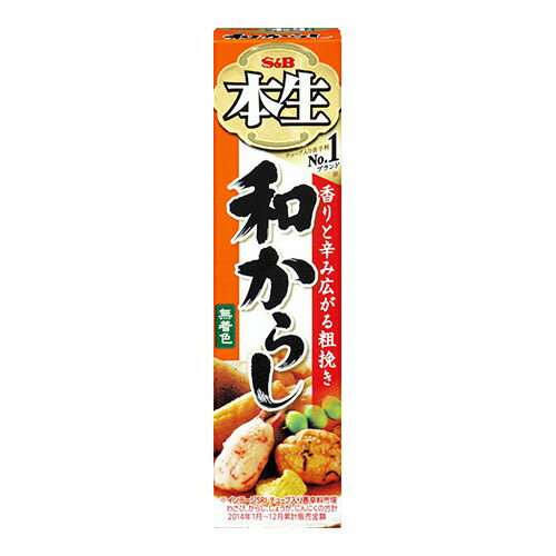 エスビー食品 S&B エスビー 本生 和からし 43g ×10 メーカー直送