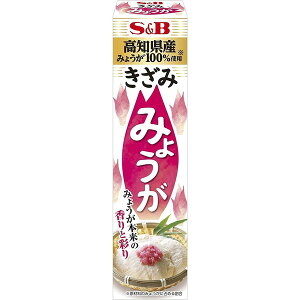 エスビー食品 S&B きざみみょうが 38g ×10 メーカー直送