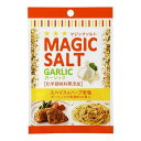 エスビー食品 S&B エスビー マジックソルト ガーリック 袋入 20g ×10 メーカー直送 お中元 ギフト 夏ギフト プレゼント