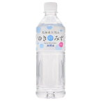 ロジネットジャパン 北海道大雪山 ゆきのみず ペットボトル 550ml ×24 メーカー直送