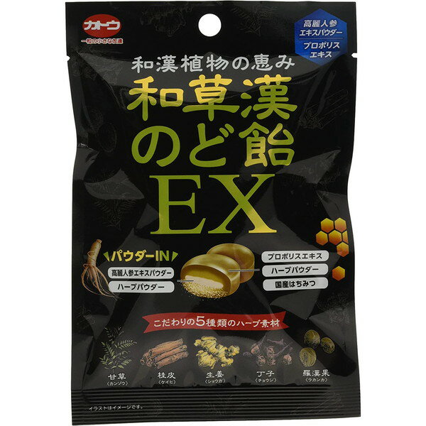 加藤製菓 加藤 和草漢のど飴EX 45g ×10 メーカー直送