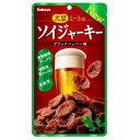 カバヤ食品 ソイジャーキー 45g ×8 メーカー直送