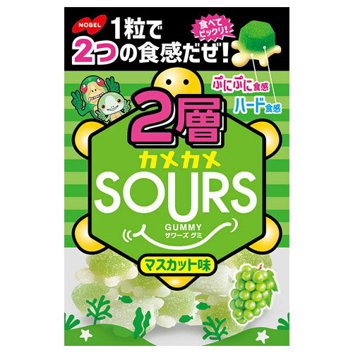 ノーベル製菓 ノーベル 2層カメSOURSマスカット 45g ×6 メーカー直送