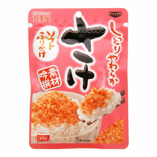 丸美屋食品工業 丸美屋 ソフトふりかけ さけ 28g ×10 メーカー直送