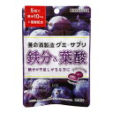 養命酒製造 グミXサプリ 鉄分&葉酸 40g ×6 メーカー直送 ギフト プレゼント
