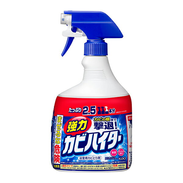 お風呂洗剤 お風呂掃除 強力 カビハイター 特大 1000ml お風呂用カビ取り剤 浴室用 スプレー カビ 大容量 泡 kaouKSZ