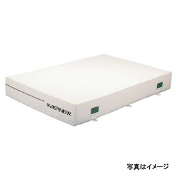 【法人限定】 EVERNEW 屋内エバーマット滑止付150×200×20 EGD141 メーカー直送