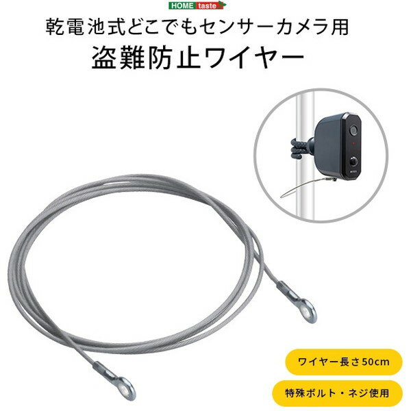 ホームテイスト SH-17-ML16 乾電池式どこでもセンサーカメラ用 盗難防止ワイヤー SL シルバー メーカー直送