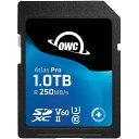 OWC OWCSDV60P1000 Atlas Pro SD 1.0TB(2)