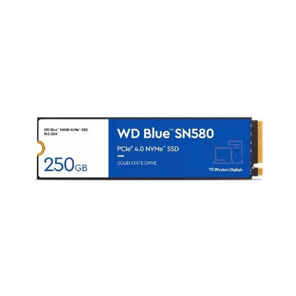 WESTERN DIGITAL WDS250G3B0E WD Blue 内蔵SSD M.2 (250GB)