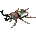 タカラトミー アニア AS-42 ニジイロクワガタ(3)