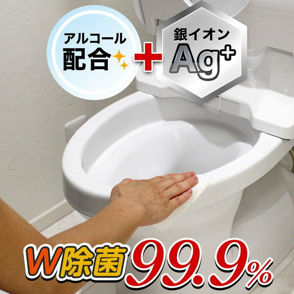 レック 激落ちくん 流せる 除菌 トイレクリー...の紹介画像2