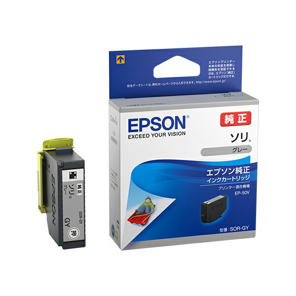 EPSON SOR-GY [JIv^[p CNJ[gbW/\(O[)]